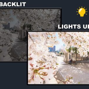 LED Backlit Nature Wall Art – Bicycle beside Flowers